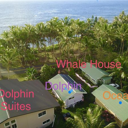 Whale House At Kehena Beach Pahoa Dış mekan fotoğraf
