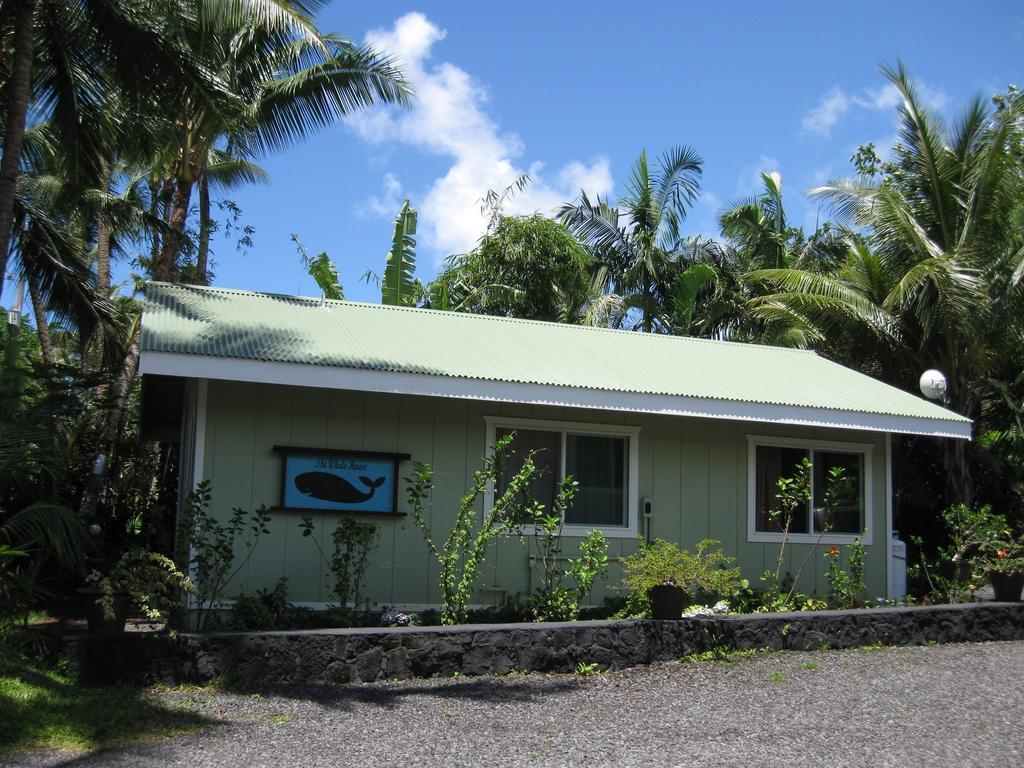 Whale House At Kehena Beach Pahoa Oda fotoğraf
