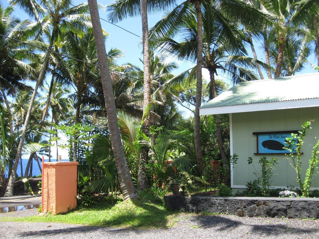 Whale House At Kehena Beach Pahoa Oda fotoğraf