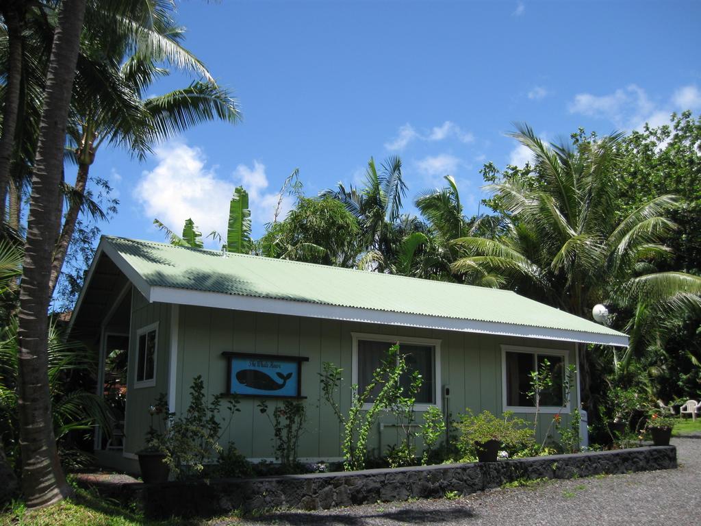 Whale House At Kehena Beach Pahoa Oda fotoğraf