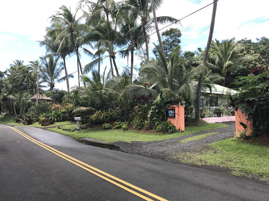 Whale House At Kehena Beach Pahoa Dış mekan fotoğraf