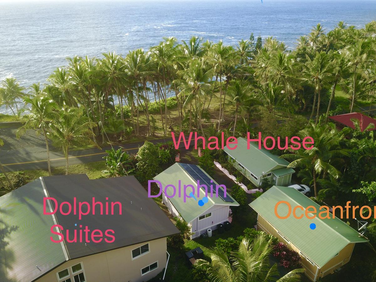 Whale House At Kehena Beach Pahoa Dış mekan fotoğraf