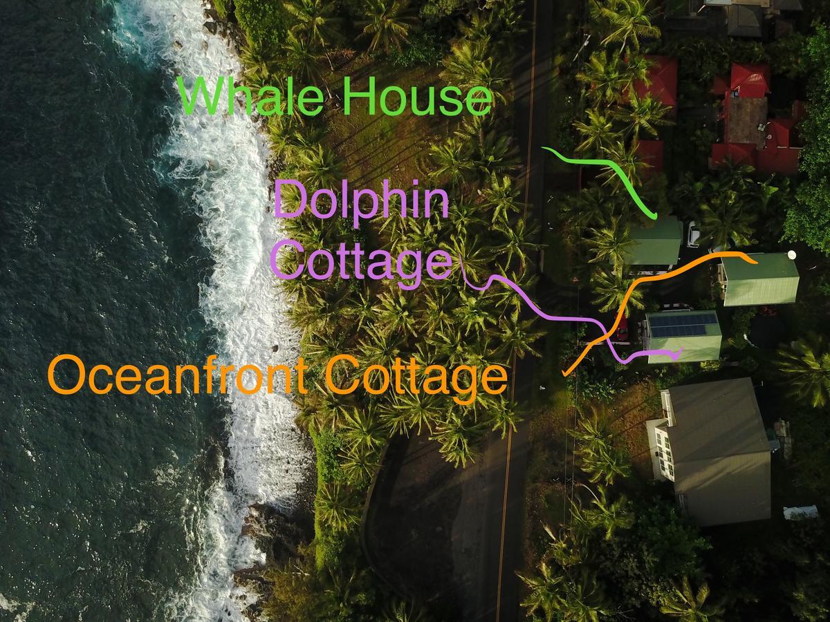 Whale House At Kehena Beach Pahoa Dış mekan fotoğraf